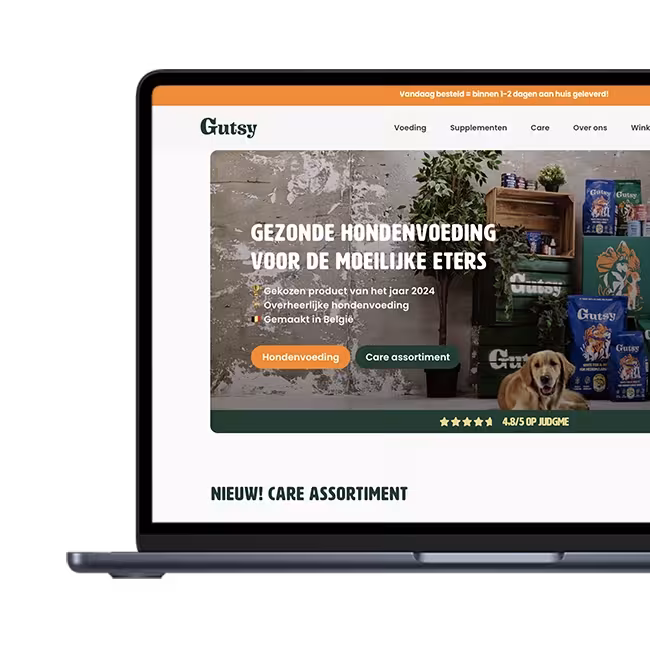<span>Een krachtig converterende website voor Gutsy</span>
